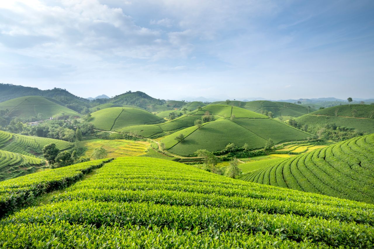 Riduzione dell'impatto ambientale